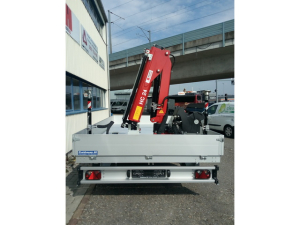 Anhänger 03